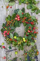 An Autumnal Berry wreath featuring Wild Crab Apples, Hawthorn - Crataegus, Sloe berries - Prunus spinosa, Rose hips, English Oak - Quercus robur and Crocosmia seed heads
