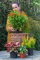 Woman planting Helenium mexicanum 'Poncho' in the middle of the container