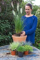 Planting Pennisetum alopecuroides 'Hameln' in the centre of the container