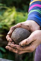 Kokedama, Mix equal parts or soil based compost such as John Innes 2 and Multipurpose compost, peat free is ideal. Form a ball that sticks together