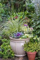 An autumnal container with a variegated colour scheme. Featuring Carex brunnea 'Gold Strips', Euphorbia x martinii 'Ascot Rainbow', Hedera helix 'Golden Kolibri', Ornamental cabbage - Brassica oleracea and Hebe addenda Variegated