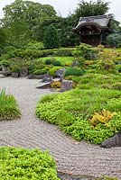 Japanese landscape garden, Garden of Activity with raked gravel - mid summer - Kew Gardens