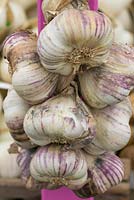 Garlic for sale. The Garlic Farm. Isle of Wight. 