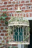 Decorative bird cage with climbing plant. Salterns Cottage, a private garden on the Isle of Wight. 