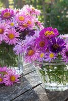 Mixed aster flowers displayed in jam jars