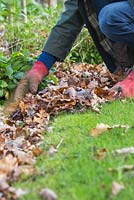 Removing fallen autumnal leaves from a garden border