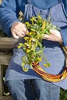 Dressing a Willow wreath with mistletoe and ivy - Common Farm Flowers, Somerset