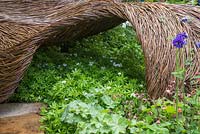 Breast Cancer Haven Garden. Woven willow sculpture underplanted with Alchemilla mollis and Galium odoratum. Designer: Sarah Eberle supported by Tom Hare. Sponsor: Nelsons