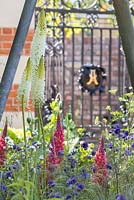 Eremurus himalaicus with Aquilegia vulgaris var. stellata 'Blue Barlow' and Lupinus 'Red Rum', with a view to a wrought iron gate. The Living Legacy Garden. RHS Chelsea Flower Show, 2015
