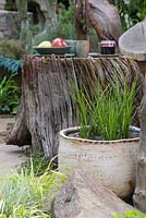 Calamagrostis x acutiflora 'Karl Foerster' in a boggy container, looking towards tree stump with a picnic laid out. The Sculptor's Picnic Garden. RHS Chelsea Flower Show, 2015.