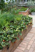 Raised beds made of railway sleepers planted with strawberries and fennel