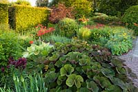 The hot hued Lanhydrock Garden at Wollerton Old Hall Garden,Shropshire. Planting includes Ligularia, Alstroemerias and Nasturtiums. 