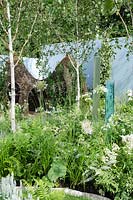 Willow playhouse, sensory tubes, Betula underplanted with white planting of Agapanthus, Hydrangea, and Ferns - Corner of the World, RHS Hampton Court Palace Flower Show 2012