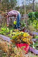 Clean up vegetable garden in autumn. Remove all of the spent plant material from the garden. Removing infected and dead leaves November. Garden waste collected in plastic tube.