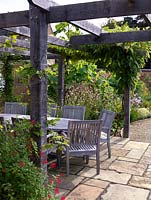 Dining table and chairs beneath pergola with wisteria and vine. In the forground Salvia 'Royal Bumble' with Tithonia rotundifolia, Tulbaghia violacea and miscanthus behind.