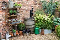Wrought iron stand with pots of succulents and herbs. Wooden barrel by pots of box and heuchera. On right, Hosta 'Big Daddy', Hydrangea paniculatum 'Phantom' and Eucalyptus pauciflora subsp. niphofila.