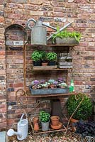 Wrought iron stand with pots of succulents and basil. On right, pots of box and heuchera.