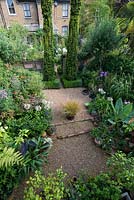 Tiny town garden, measuring just 12m x 6m, with two distinct areas. First, a courtyard edged in beds packed with unusual and exotic plants. Next, beyond two columnar yews, a formal box parterre filled with herbaceous perennials.