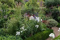 In 12m x 6m town garden, formal parterre with box and variegated holly standards, and box edged beds of Phlox paniculata 'David', Aconitum 'Spark's Variety', red Persicaria amplexicaulis 'Firetail', pennisetum and sanguisorbas.