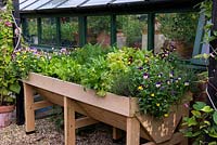 A raised wooden planter with thyme, violas, cut and come again lettuce, rocket, spinach and carrots.