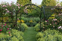 A grass path beneath a metal rose covered pergola underplanted with Alchemilla mollis.