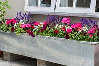 A large metal trough planted with pelargoniums, petunias, nicotiana and lavender beneath a windowsill.