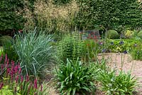 A gravel garden planted with Agapanthus, Verbena, persicaria and stipa grass.