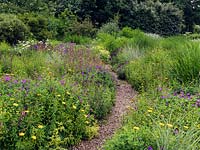 A path though the meadow at Ryton Organic Gardens.