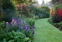 The borders along the curving path at Mounts Court Farmhouse are planted with Bergenias, Salvia viridis var. comata, Lobelia cardinalis 'Queen Victoria' and Miscanthus.