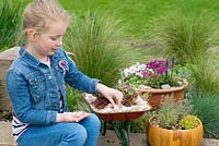 A young girl with 3 miniature gardens in container: wooden herb bowl, alpine bowl and wheelbarrow planted with succulents.