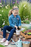 A child planting echeveria succulents into metal buckets.