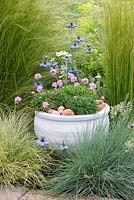 Terracotta pot painted in seaside themed colours. Planted with sea pinks and mossy saxifrage, and mulched with sea shells. Contemporary setting of ornamental grasses.