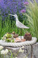 A bird sculpture with succulents planted in shells and cork in a contemporary seaside themed garden with beachcombing finds.