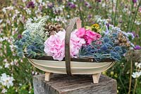 Cut garden flowers suitable for drying  hydrangeas, statice, gypsophila, sea holly and coneflowers with dried seedheads of poppies and love-in-the-mist.