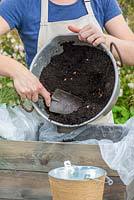 Step by step planting a drought tolerant box. Step 3: Fill the planter with a good quality potting compost.
