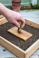 Wooden seed tray with vintage home made wooden tamper.