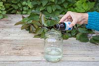 Fill the glass jar with a good measure of Glycerine