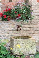 Stone trough water feature with Lathyrus odoratus 'Teresa Maureen' - right and 'Villa Rosa' in terracotta containers