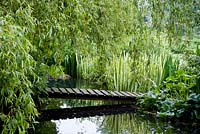 Sloping boardwalk bridge across pond with yellow flag variegated Iris pseudacorus 'Variegata' and foliage of Caltha palustris - marsh marigold. Salix x sepulcralis var. chrysocoma - Weeping willow