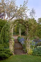 White ornate wrought-iron arches frame herringbone brick steps up through centre of garden. rose and clematis climb foreground arch, weeping conifer to left. Edging of Myosotis alpestris - forget-me-not and Millium effusum 'Aureum' 