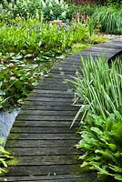 Wooden decking path over the pond. Iris pseudocorus 'Variegata', Pontederia cordata, Asplenium scolopendrium and Nymphaea - water lily