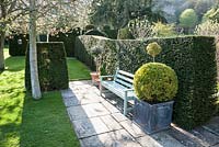 Wooden bench placed against yew hedge framed with clipped box shapes in containers. Little Malvern Court, Worcestershire, UK