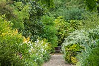 View along gravel path between shrub borders with foliage plants including magnolia, euonymus, peony, ribes and Fatsia japonica.