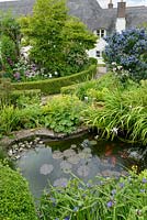 Ornamental pond with access for amphibians. Box topiary and edging. Herbaceous perennials including tradescantia, alchemilla, astrantia and irises. Shrubs including ceanothus and magnolia.