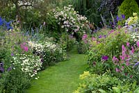 A grass path through double herbaceous borders with cottage style plants including aconites, delphinium, thalictrum, campanula, feverfew, leucanthemum, centaurea, alchemilla, foxglove, catmint, hardy geranium, prairie mallow and tobacco plant. At the far end Rosa 'Belvedere' rambling over a pergola.