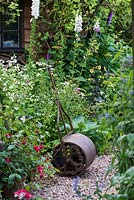 A cottage garden with cast iron roller in front of a wooden summerhouse, by clump of feverfew.