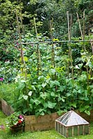A cottage garden with raised vegetable bed and hazel stick supports for runner beans.