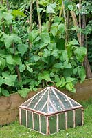 A glass cloche in a vegetable garden.