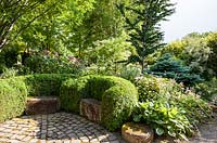 Stone garden benches backed by Buxus sempervirens, paved terrace, gravel path and mixed planting with conifers, deciduous trees, roses and perennials - June, Le Jardin de Marguerite, France