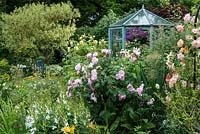 A cottage garden with colourful mixed border of Rosa 'Phyllis Bide' on obelisk, Rosa 'Fantin Latour', aquilegia, philadelphus and achillea. Behind: a painted wooden framed green house and seating area on the lawn.